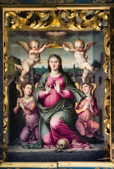 Madonna delle Grazie da Raffaello dal Colle