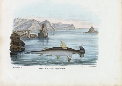 Martello, 1863-79 da Raimundo Petraroja