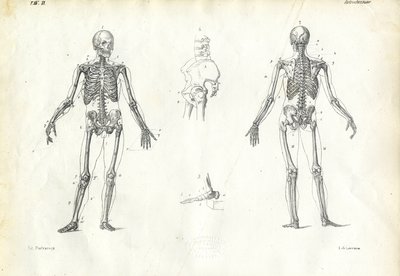 Essere Umano, 1863-79 da Raimundo Petraroja