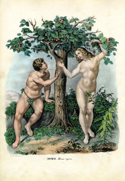 Razze umane, 1863-79 da Raimundo Petraroja