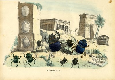 Scarabei, 1863-79 da Raimundo Petraroja
