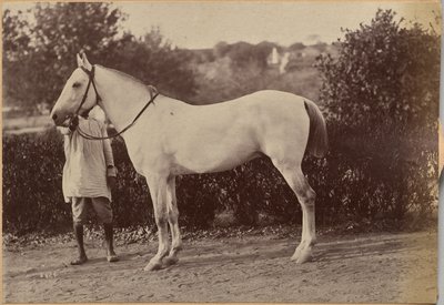  da Raja Deen Dayal