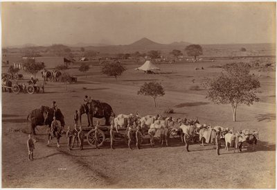 Batteria da campo pesante, Jhansi da Raja Deen Dayal
