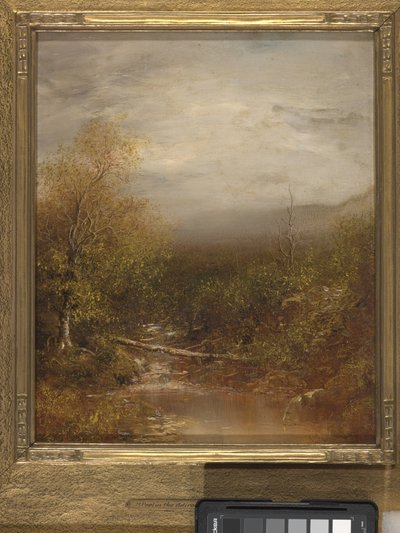 Piscina negli Adirondacks da Ralph Albert Blakelock