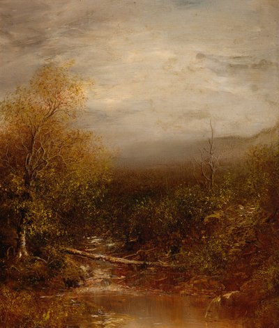 Piscina negli Adirondacks da Ralph Albert Blakelock