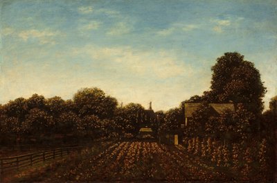 Il giardino dell