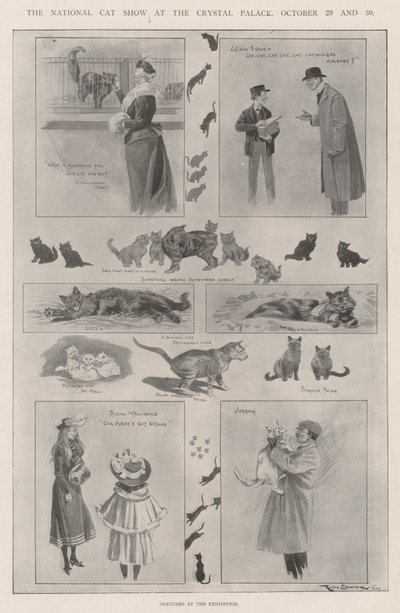 La mostra nazionale dei gatti al Crystal Palace, 29 e 30 ottobre da Ralph Cleaver