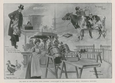 La mostra dell