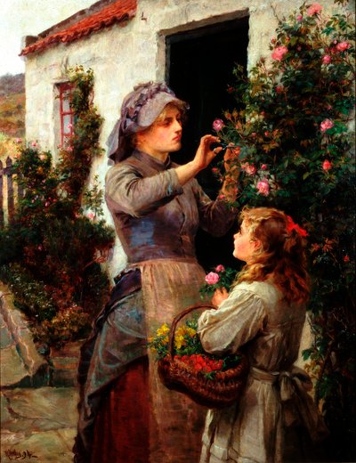 Rose per l