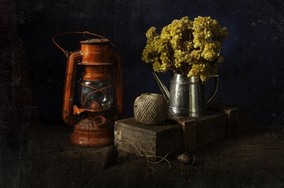  da Ramiz Sahin