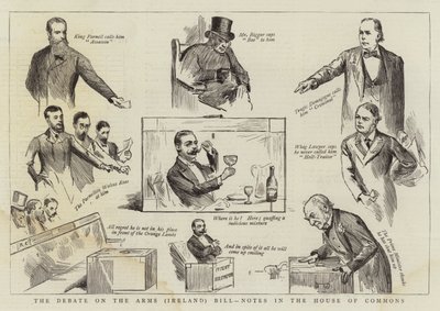 Il dibattito sul disegno di legge sulle armi (Irlanda), note alla Camera dei Comuni da Randolph Caldecott