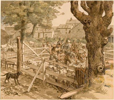 Tosatura delle pecore in Cornovaglia da Randolph Schwabe
