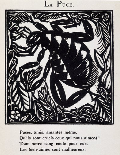 La puce - in "Le Bestiaire ou cortege d
