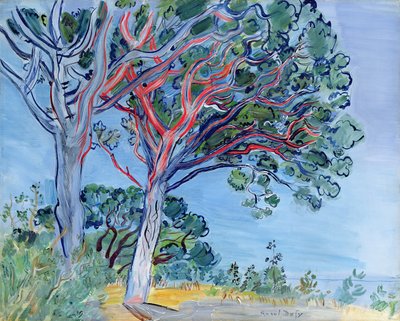Il pino rosso da Raoul Dufy