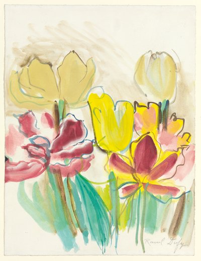 Tulipani per l