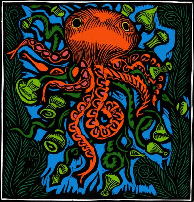 Zoologia / Vita marina / Polpo da Raoul Dufy