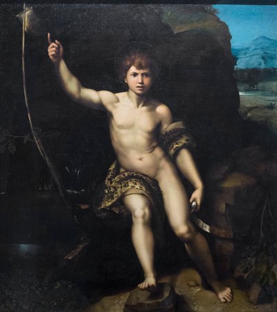 San Giovanni Battista da Raphael (1483 1520) (& studio)