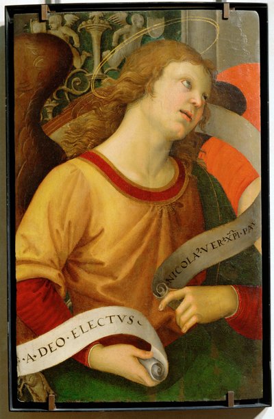 Angelo ... da Raphael (1483-1520)