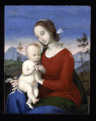 Madonna col Bambino e un uccello da Raphael (1483 1520)