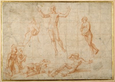 Studio per 