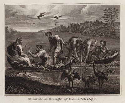 Cartone di Raffaello: La pesca miracolosa, Luca, Capitolo V (incisione) da after Raphael