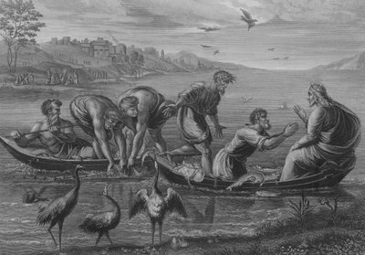 La pesca miracolosa (incisione) da after Raphael
