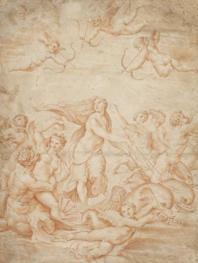 Il Trionfo di Galatea da after Raphael