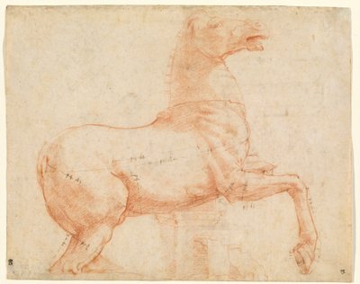 Un cavallo di marmo sulla collina del Quirinale (recto), c.1513 da Raphael (1483 1520)