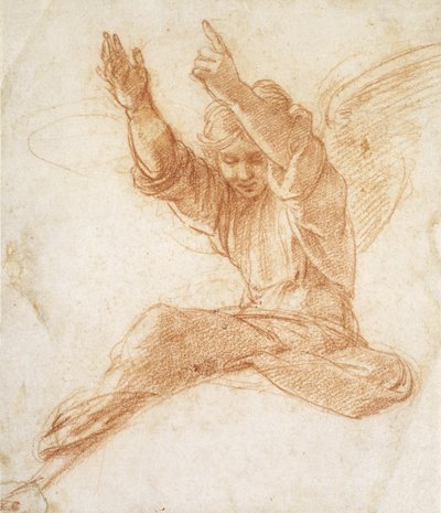 Un angelo da Raphael