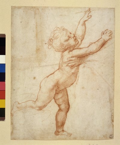 Studio di bambino da Raphael