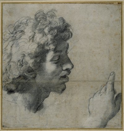Studio di testa e mano da Raphael