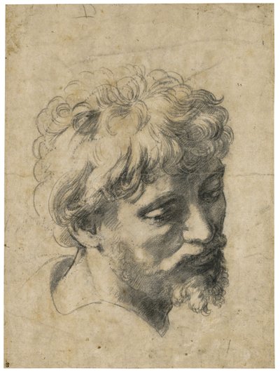 "Ritratto di giovane apostolo" (Testa di giovane apostolo) Carbone su carta di Raffaello Sanzio (1483-1520) Collezione privata da Raphael