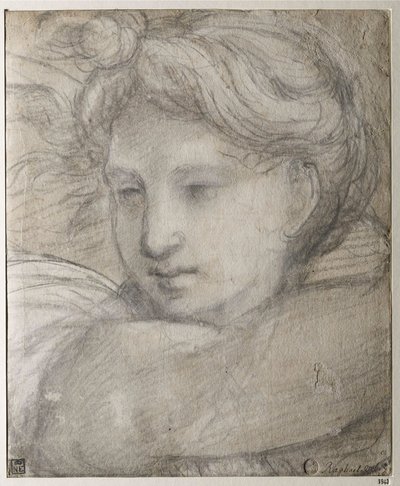 Testa di un angelo di Raffaello Sanzio (1483-1520), c. 1520 - Gesso nero e bianco su carta, 30,8x25,4 - Szepmuveszeti Muzeum, Budapest da Raphael