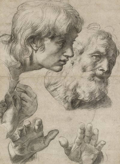 Studi delle teste di due apostoli e delle loro mani da Raphael