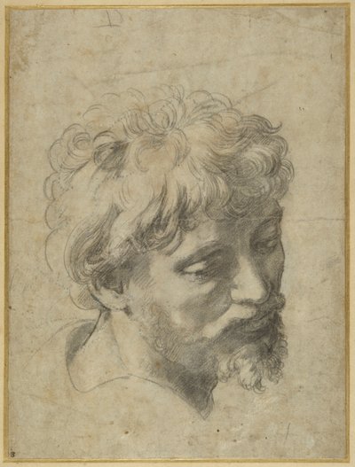 Studio per il discepolo all