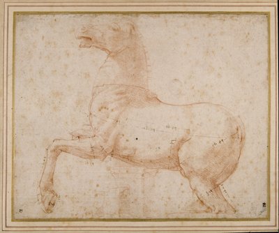 Studio di un cavallo da Raphael