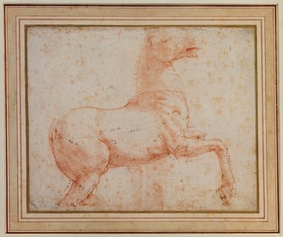 Studio di uno dei cavalli di marmo del Quirinale da Raphael
