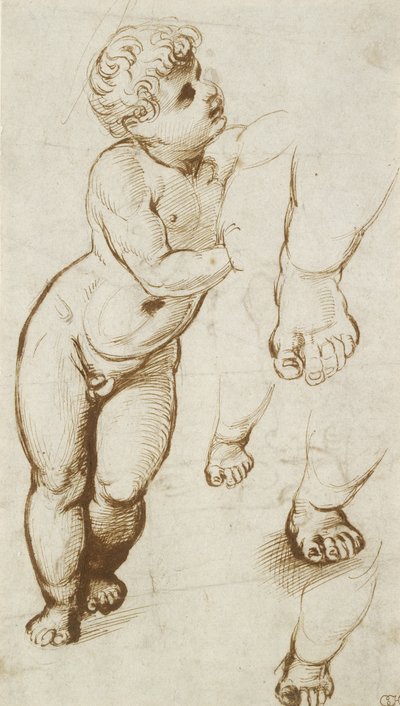 Il Bambino Gesù e altri Studi da Raphael