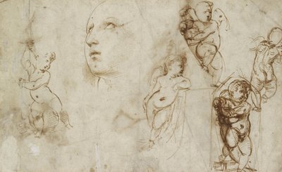 Vari Studi, principalmente per la Santa Caterina Borghese-Beckford da Raphael