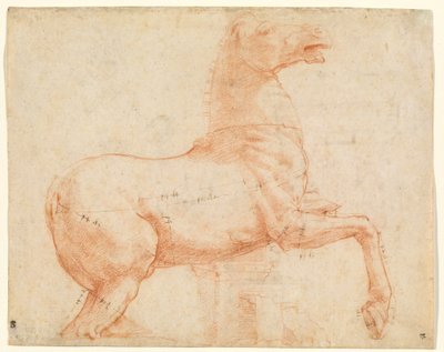Un cavallo di marmo sulla collina del Quirinale da Raphael