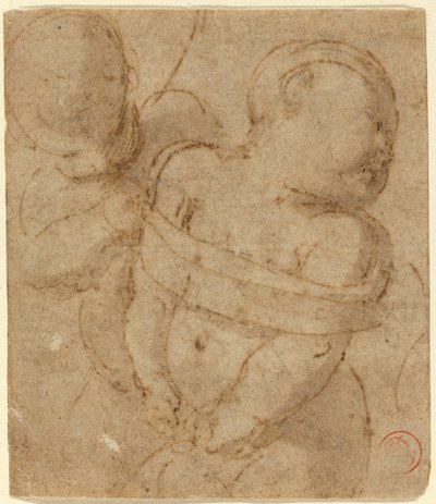 Cupido Legato da Raphael