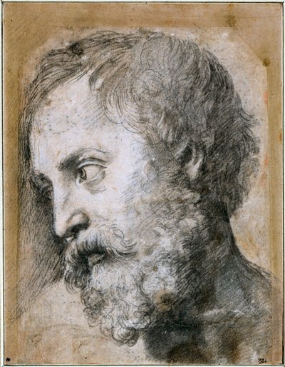 Testa di un Apostolo Studio per la Trasfigurazione da Raffaello Sanzio Raphael