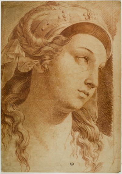 Testa di Comity da Raphael