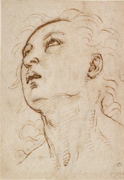 Testa di un Giovane che Guarda in Alto, c. 1497-c. 1504 da Raphael