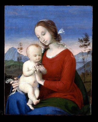 Madonna col Bambino e un uccello da Raphael