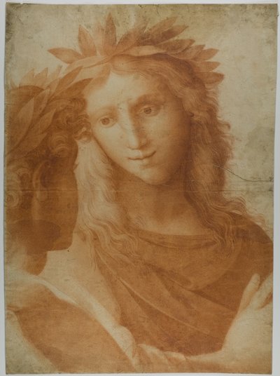 Uomo e donna incoronati di alloro da Raphael