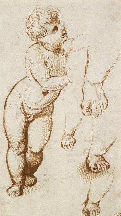 Recto: Il Bambino Gesù e altri studi, 1500-1520 da Raphael