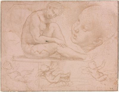 Studi di una Femmina Seduta, Testa di Bambino e Tre Studi di un Bambino da Raphael