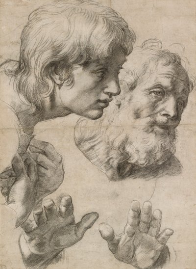Studi delle teste di due apostoli e delle loro mani, XVI secolo da Raphael