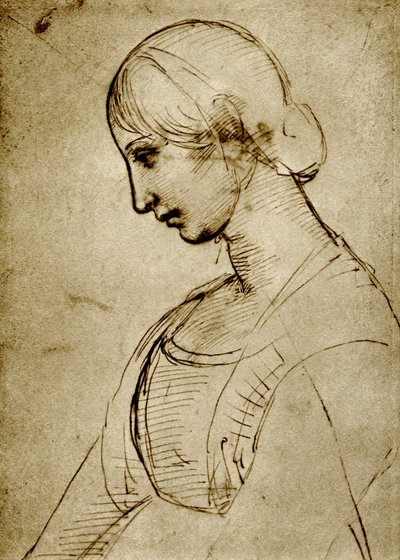 Studio su una Madonna da Raffaello Sanzio Raphael